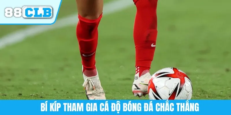 Bí kíp tham gia cá độ bóng đá chắc thắng