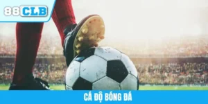 Cá Độ Bóng Đá - Theo Dõi Những Trận Cầu Đỉnh Cao Năm 2025