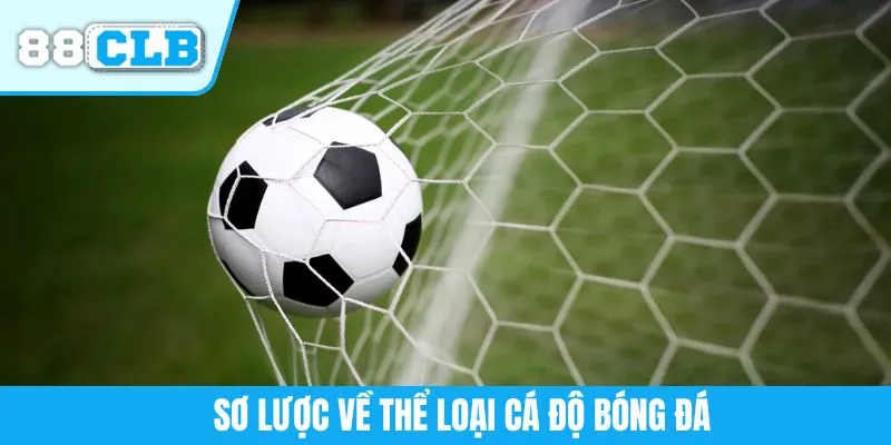Sơ lược về thể loại cá độ bóng đá