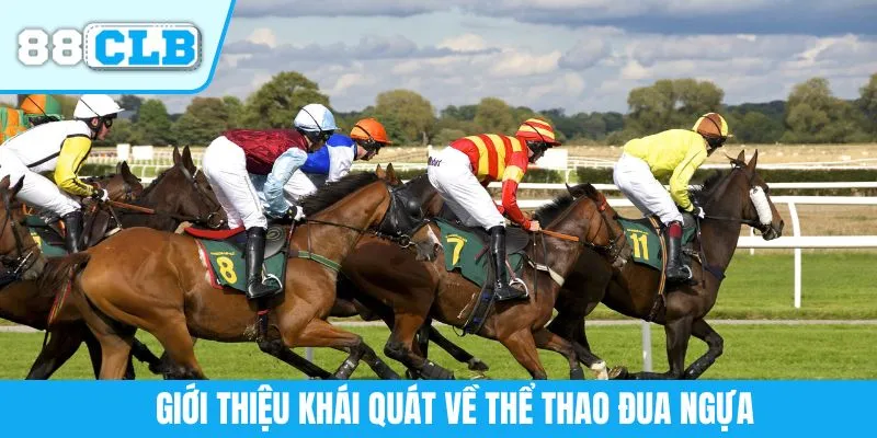 Giới thiệu khái quát về thể thao đua ngựa
