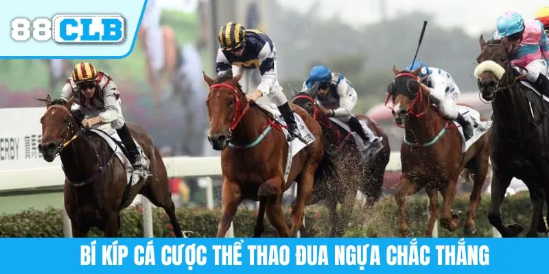 Bí kíp cá cược thể thao đua ngựa chắc thắng